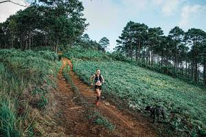 BIB: 
                            <button type="button" onclick="openModal(25654031)" class="btn btn-primary btn-sm float-right btn-popup" data-toggle="modal" data-target=".modal-high-quality">
                        <i class="fas fa-shopping-cart"></i> Add to Cart
                    </button>
                                            <button type="button" onclick="isThisMe(25654031, true)" class="btn btn-success btn-sm float-right btn-popup btn-isme hidden" data-toggle="tooltip" data-placement="bottom" title="นี่คือรูปของคุณใช่ไหม คลิกที่นี่เพื่อเอาเข้าอัลบั้ม">
                        <i class="fas fa-plus"></i> Add to album
                    </button>
                    <button type="button" onclick="isThisMe(25654031, false)" class="btn btn-warning btn-sm float-right btn-popup btn-isnotme hidden">
                        <i class="fas fa-ban"></i> Remove from album
                    </button>